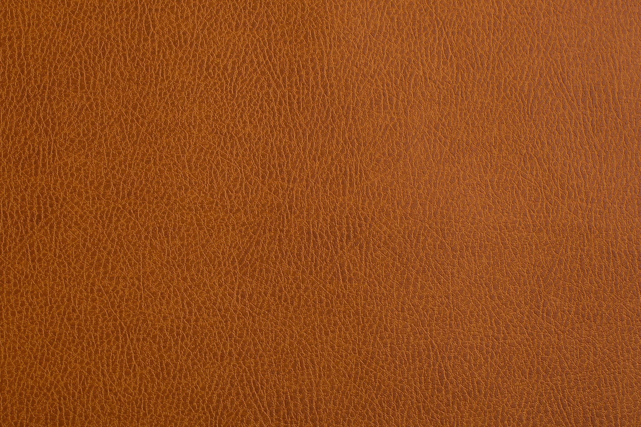 Sileather Mustang Series - Image 8