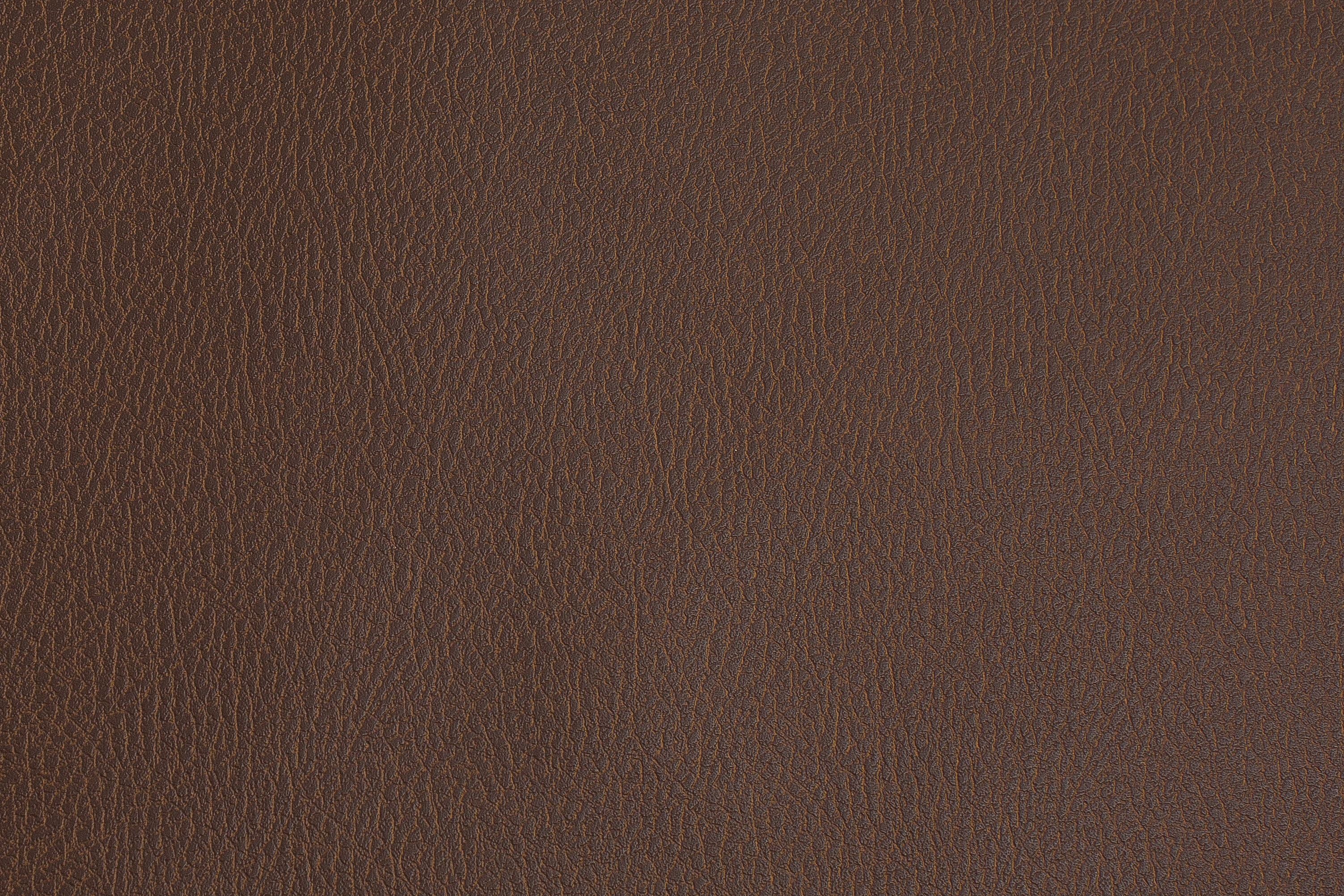 Sileather Mustang Series - Image 9
