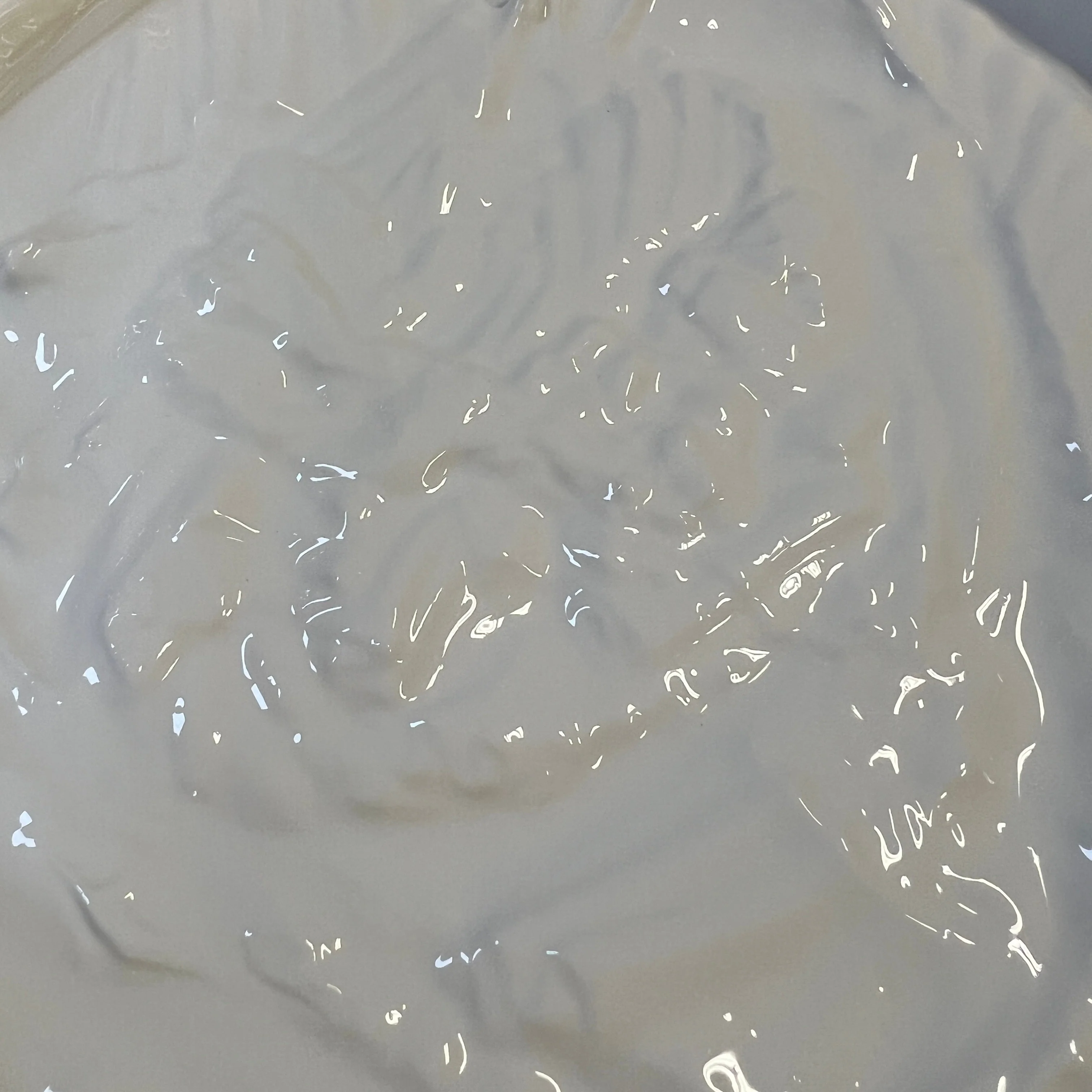 RB Components TPO Flooring - Coin Adhesive - Image 3
